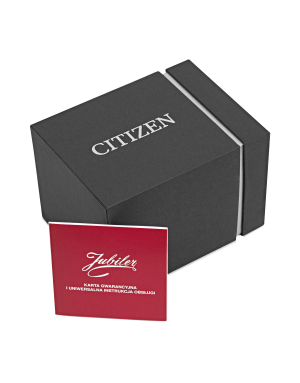 ZEGAREK CITIZEN BM7108-22L