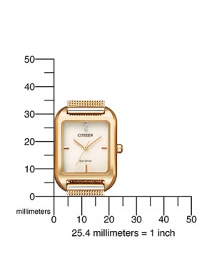 ZEGAREK CITIZEN EM0493-85P