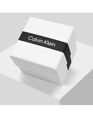 ZEGAREK CALVIN KLEIN ICONIC 25300004